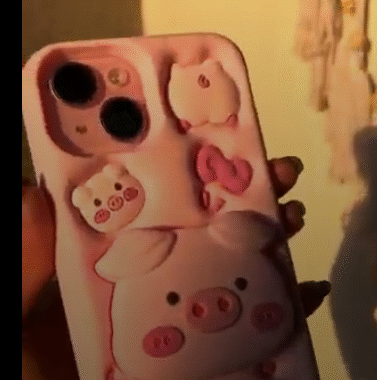 Screenshot 2025-05-17 084625 piggy